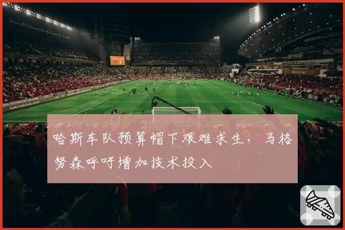 哈斯车队预算帽下艰难求生,马格努森呼吁增加技术投入