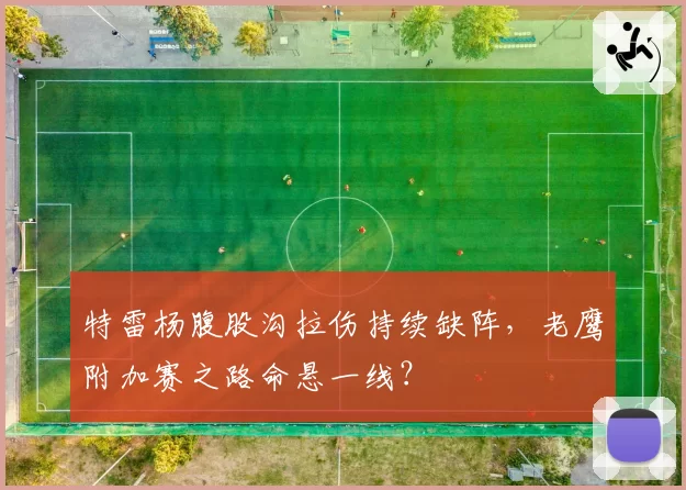 特雷杨腹股沟拉伤持续缺阵,老鹰附加赛之路命悬一线?