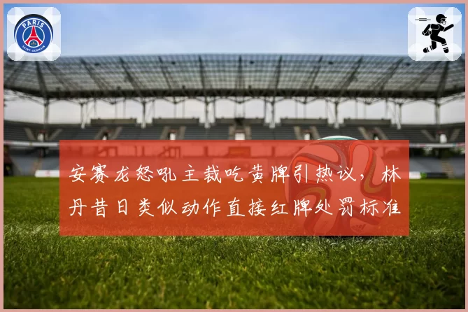 安赛龙怒吼主裁吃黄牌引热议,林丹昔日类似动作直接红牌处罚标准存疑